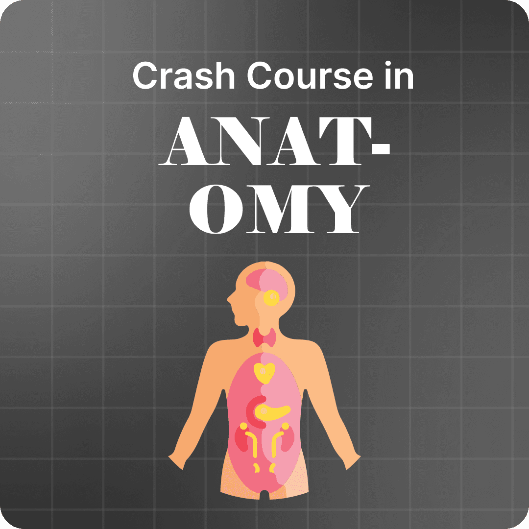 Crash Course in Anatomy 