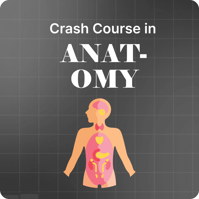 Crash Course in Anatomy 