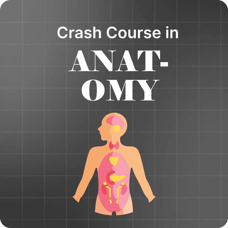 Crash Course in Anatomy 